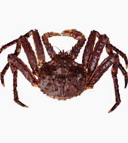 Crab product 9