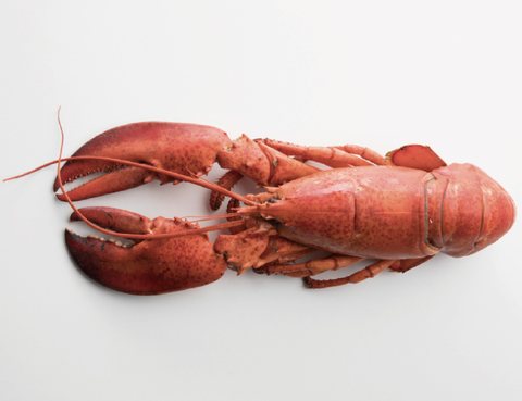 Lobster product 2