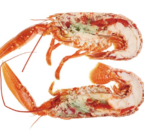 Lobster product 4