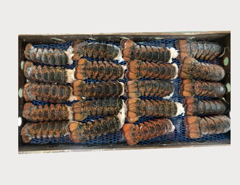 Lobster product 5