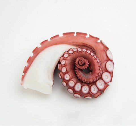 Octopus or squid product 4