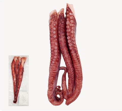 Octopus or squid product 6