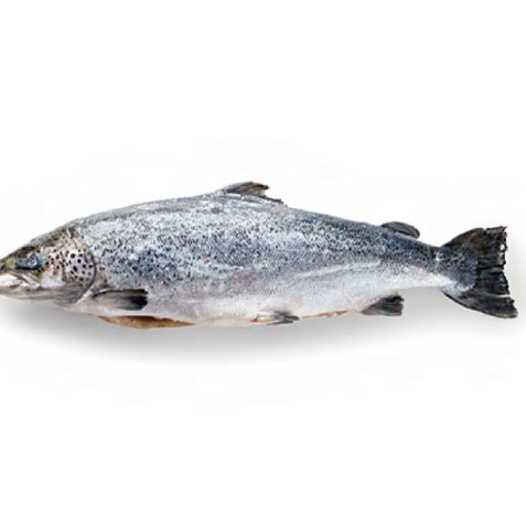 Salmon product 1