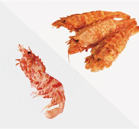Shrimp product 5