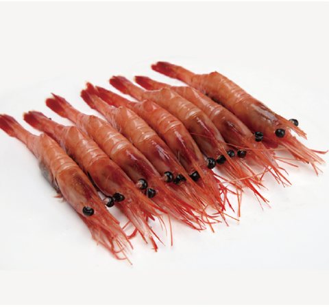 Shrimp product 10