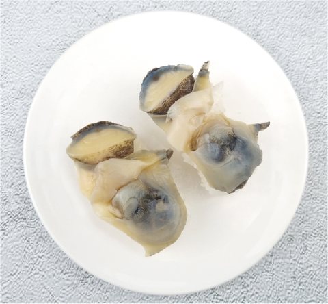 Sushi-grade portion 14