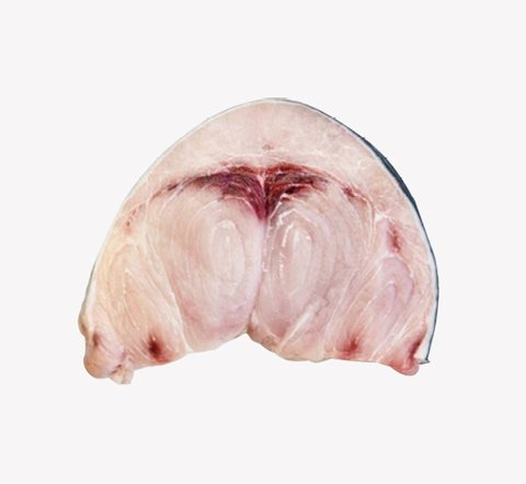 Tuna cut 10
