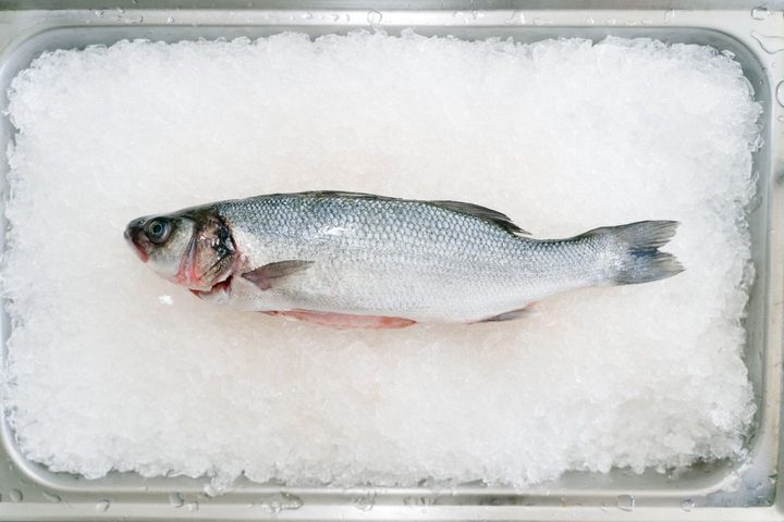Whole fish packed on ice in a chilled tray